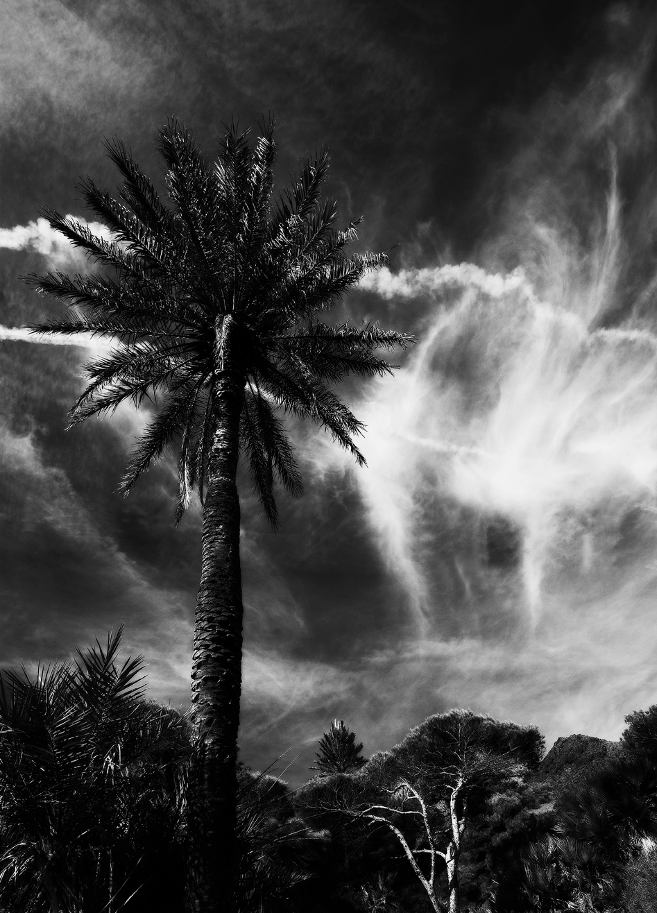 Paysage 2